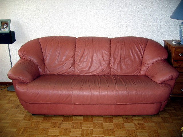 Canap cuir